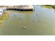 Beautiful shot of gentle manatees swimming near a dock featuring lounge chairs and tranquil waters at 5000 Culbreath Key Way # 2-202, Tampa, FL 33611