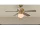 Brass ceiling fan with light kit at 8310 Archwood Cir, Tampa, FL 33615