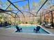 Screened-in pool with lounge chairs and a natural backdrop at 16754 Ivy Lake Dr, Odessa, FL 33556