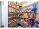 Well-stocked pantry with ample shelving for storage at 34303 Sahalee Loop, Dade City, FL 33525