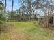 Large backyard with mature trees and grass at 5225 Venetian Ne Blvd, St Petersburg, FL 33703