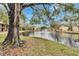 Serene pond-side view with mature trees and manicured lawn at 8647 Fancy Finch Dr # 203, Tampa, FL 33614