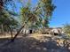 Backyard view of home with shed and trees at 1116 E Boyer St, Tarpon Springs, FL 34689