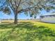 Large backyard with a lake view and a large tree at 11616 Crest Creek Dr, Riverview, FL 33569