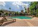 Inviting community pool with lounge chairs and umbrellas at 501 Knights Run Ave # 1213, Tampa, FL 33602