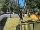 Spacious backyard with a large tree and privacy fence at 1046 Bass Blvd, Dunedin, FL 34698