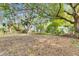 Large backyard with mature trees and ample space at 1434 Longwood Loop, Tampa, FL 33619