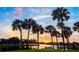 Sunset view over calm waters with palm trees at 17 Venetian Ct, Tarpon Springs, FL 34689