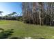 Large backyard with grassy area and trees at 18420 Burrell Rd, Odessa, FL 33556