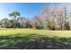 Open backyard with grassy area and trees at 18420 Burrell Rd, Odessa, FL 33556