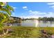 Waterfront backyard with canal access and gazebo at 6320 Grand Bahama Cir # 6320, Tampa, FL 33615