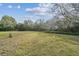 Spacious backyard with lush landscaping and large trees at 9232 Brindlewood Dr, Odessa, FL 33556