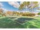 Community tennis court nestled among trees at 9232 Brindlewood Dr, Odessa, FL 33556