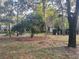 Landscaped area with mature trees and a view of a condo building at 103 Old Mill Pond Rd, Palm Harbor, FL 34683