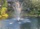 Pond with a water fountain and a small rainbow at 103 Old Mill Pond Rd, Palm Harbor, FL 34683