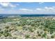 Neighborhood view showing a cluster of houses and greenery at 122 Orange Bud Way, Plant City, FL 33563