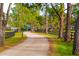 Long tree-lined driveway leading to the property at 18029 Lake Reflections Blvd, Lutz, FL 33558