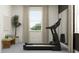 Modern home gym featuring a treadmill and weights at 18412 Serene Lake Loop, Lutz, FL 33548