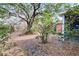 Backyard of the home with mature trees and natural landscaping at 4020 Concord Way, Plant City, FL 33566