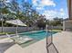 Modern pool with swim-up lounge chairs and patio area at 821 Forest Glen Ct, Palm Harbor, FL 34683