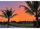 Scenic sunset view from backyard, featuring palm trees at 935 Signet Dr, Apollo Beach, FL 33572