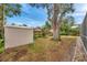 Backyard with shed and large oak tree providing shade at 1753 Lucas Dr, Clearwater, FL 33759