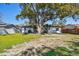 Large backyard with grassy area and large tree at 2522 Krueger Ln, Tampa, FL 33618