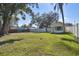 Large backyard with grassy area, trees, and shed at 2522 Krueger Ln, Tampa, FL 33618