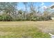 Spacious backyard with lush landscaping and mature trees at 4409 Winding River Way, Land O Lakes, FL 34639