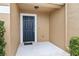 Front entry with a dark door and small front porch at 4409 Winding River Way, Land O Lakes, FL 34639