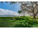 Expansive grassy area with mature trees and waterfront access at 6218 Palma Del Mar S Blvd # 208, St Petersburg, FL 33715