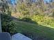 View of the backyard with grassy area and natural landscape at 8313 Shallow Creek Ct, New Port Richey, FL 34653