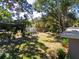 Large backyard with trees and shed at 1349 Woodbine St, Clearwater, FL 33755