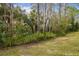 Mature trees and lush landscaping along the property line at 18924 Duquesne Dr, Tampa, FL 33647