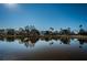 Water view community with lush trees reflecting off calm water, blue skies in the background at 2930 Swan Cir, Dunedin, FL 34698