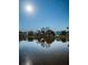 Scenic water view homes with lush trees reflected on water under a bright sunny sky at 2930 Swan Cir, Dunedin, FL 34698
