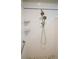 Walk-in shower with dual shower heads at 317 Green Manor Dr # 38 B, Sun City Center, FL 33573