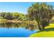 Serene lake view with lush landscaping at 4215 E Bay Dr # 1105C, Clearwater, FL 33764