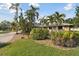Landscaped yard with palm trees and brick driveway at 775 Rolling Hills Dr, Palm Harbor, FL 34683