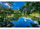 Serene lake view with lush greenery and tree reflections at 775 Rolling Hills Dr, Palm Harbor, FL 34683