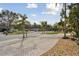Residential street lined with palm trees and houses at 775 Rolling Hills Dr, Palm Harbor, FL 34683