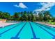 Community lap pool with plenty of lounge chairs at 775 Rolling Hills Dr, Palm Harbor, FL 34683