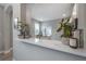 Kitchen features a clean white quartz countertop with various plants at 117 W Minnehaha St, Tampa, FL 33604