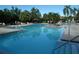 Refreshing community pool with volleyball net, ample lounge chairs, and lush tropical landscaping at 11901 4Th N St # 10105, St Petersburg, FL 33716