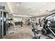 Well-equipped fitness center with various exercise machines at 13455 Jamaica Plank Loop, Riverview, FL 33579