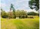 Tranquil pond view with lush greenery and palm trees at 1510 Palmer Ct, Palm Harbor, FL 34685