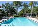 Inviting community pool with surrounding lush landscape at 1510 Palmer Ct, Palm Harbor, FL 34685