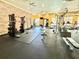 Well-equipped fitness center with various cardio and strength training machines at 2010 E Palm Ave # 14304, Tampa, FL 33605