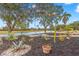 Backyard oasis with pond view, diverse plants, and stone pathway at 217 Linger Ln, Sun City Center, FL 33573