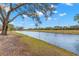 Calm canal-front view with lush greenery at 217 Linger Ln, Sun City Center, FL 33573